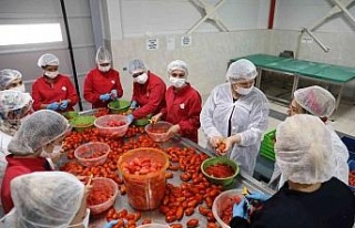 Efeler Belediyesi’nin fabrikasında ürünler çeşitleniyor