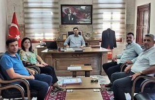 Pamukta kalite korunacak