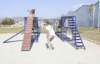 Aydın Büyükşehir Belediyesi’nin arama-kurtarma...