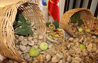 Aydın incirinin ihracat yolculuğu başladı