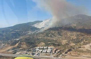 Aydın’da makilik ve zirai alanda yangın