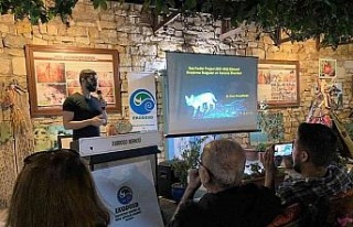 Aydın’da nesli tehlike altında olan Saz Kedisi...