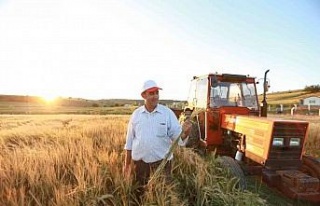 Çiftçiye, sıfır faizli kredi ile elektrik borcu...