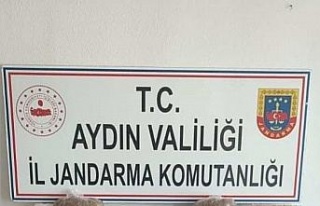 Didim’de 13 bin gram tütün ele geçirildi