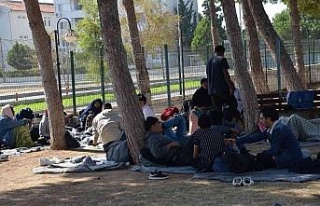 Didim’de 53 düzensiz göçmen yakalandı