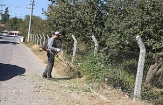 Efeler’de yabani ot temizliği