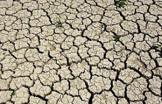 Ege, son 20 yılın en kurak sezonunu yaşıyor