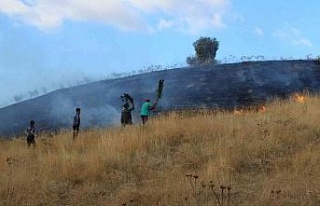 Ellerine aldıkları dallar ile yangını söndürdüler