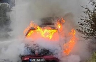 Karacasu’daki yangında araç küle döndü