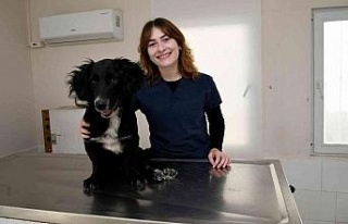 Özel yürüteçle hayata tutunan ‘Karam’ yeni...