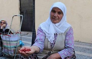 Sonbaharın kırmızısı şifa kaynağı kızılcık,...