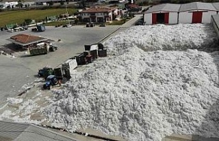 TARİŞ’e rağbet arttı, depolar 10 bin 200 ton...