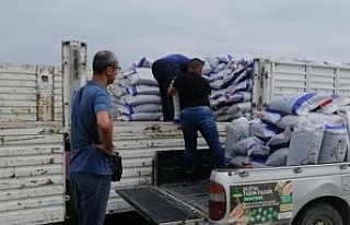 Üreticilere 31 ton tohum desteği verildi