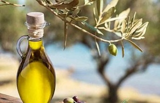 2021/22 sezonunda 201 milyon dolarlık zeytinyağı...