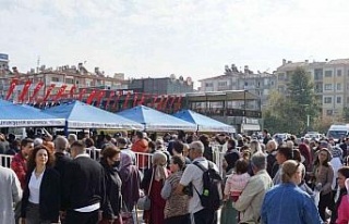 Aydın Büyükşehir Belediyesi, 100 bin sebze fidesi...