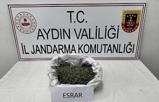 Aydın’da 1 ayda 145 şüpheli yakalandı