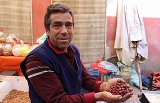 Dağlardan gelen şifa kaynağı kuşburnuna rağbet...