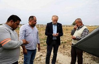 Didim Belediyesi üretiyor, vatandaş kazanıyor