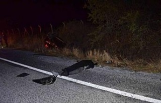 Didim’de trafik kazası: 2 ölü