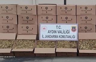 Nazilli’de 720 kilo kaçak tütün ele geçirildi