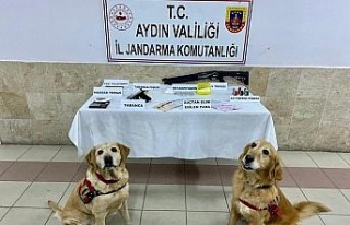 Uyuşturucu taciri, jandarmadan kaçamadı