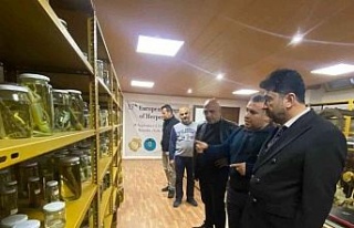 ADÜ Rektörü Aldemir, Fen Fakültesi’nde incelemelerde...