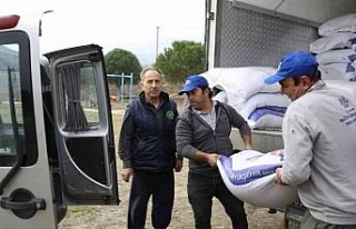 Aydın Büyükşehir Belediyesi’nden küçük aile...