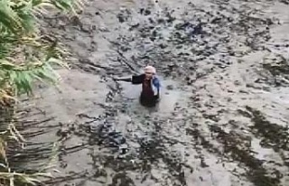 Balık yakalarken, çamura saplandı