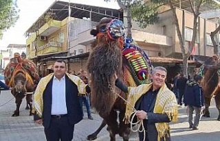 Buharkent’te güreşecek develer şehir turuna çıktı