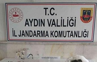 Çine’de uyuşturucu baskını