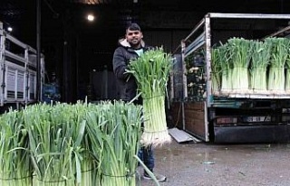 Grip mevsimi geldi pırasaya olan ilgi arttı