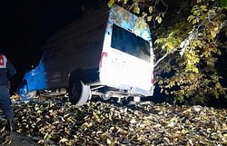 Kontrolden çıkan ticari araç şarampole devrildi:...