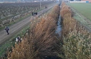 Nazilli Belediyesi’nden larva ile 365 gün mücadele