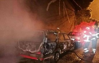 Park halindeki araç küle döndü