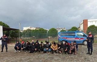 Söke’de 31 düzensiz göçmen yakalandı