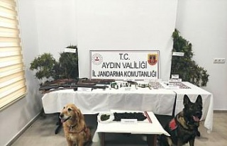 Uyuşturucular jandarmanın hassas burunlarına takıldı