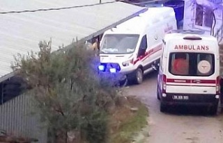 Virajı alamayan otomobil, uçurumdan hayvan damının...