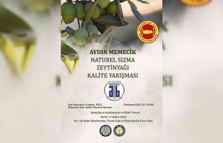 Aydın Memecik Naturel Sızma Zeytinyağı Kalite...