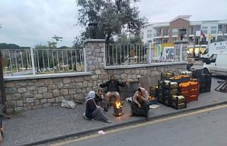 Aydın’da pazarcılar sabah soğuk havadan ateş...