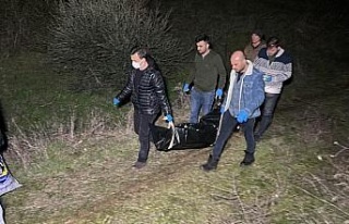 Zeytin bahçesinde kafatası ve kemik parçaları...