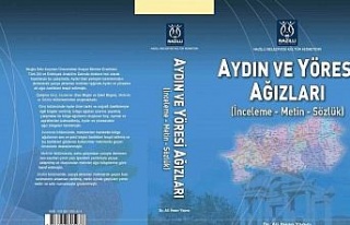 ADÜ Öğretim Üyesi Yapıcı’nın kitabı yayımlandı