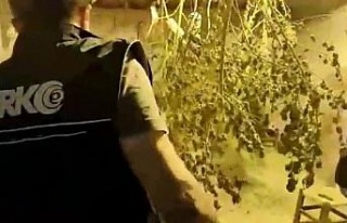 Aydın’da uyuşturucu satıcısı tutuklandı