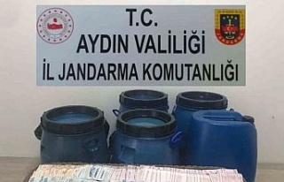 Aydın’da zeytinyağı hırsızları jandarmaya...