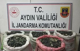 Çaldılar, yağ yapıp sattılar