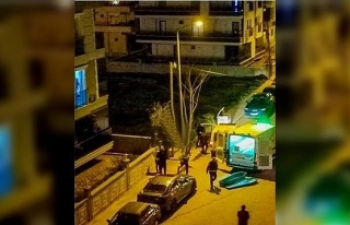 Didim’deki kadın cinayetinin sebebi kan dondurdu