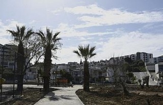 Altın Güvercin Müzik Parkı, yeşil ile sanatı...