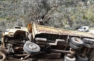 Freni boşalan kamyon devrildi