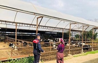 Jandarma hayvan hırsızlığına karşı bilgilendirdi