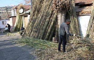 Yılda tonlarca ürün işlenen mahallenin yüzde...
