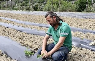 Adabahçe’ye yaz bereketiyle geldi